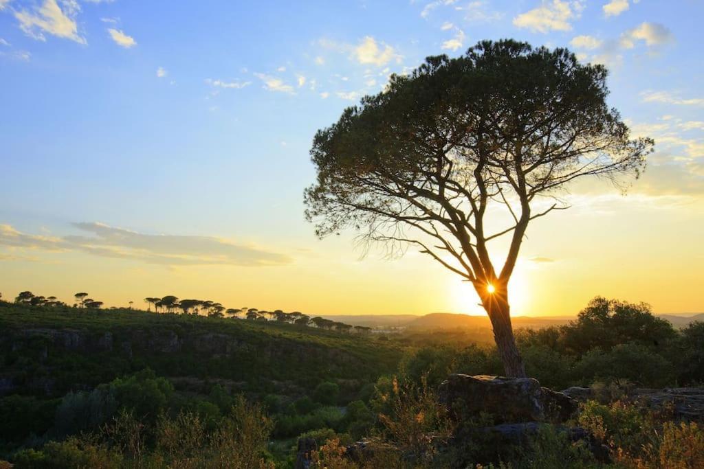 Appartamento Orange Sunset Draguignan Esterno foto